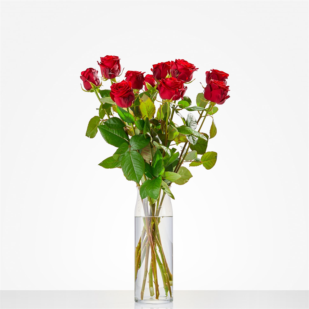 Rode rozen (Medium)