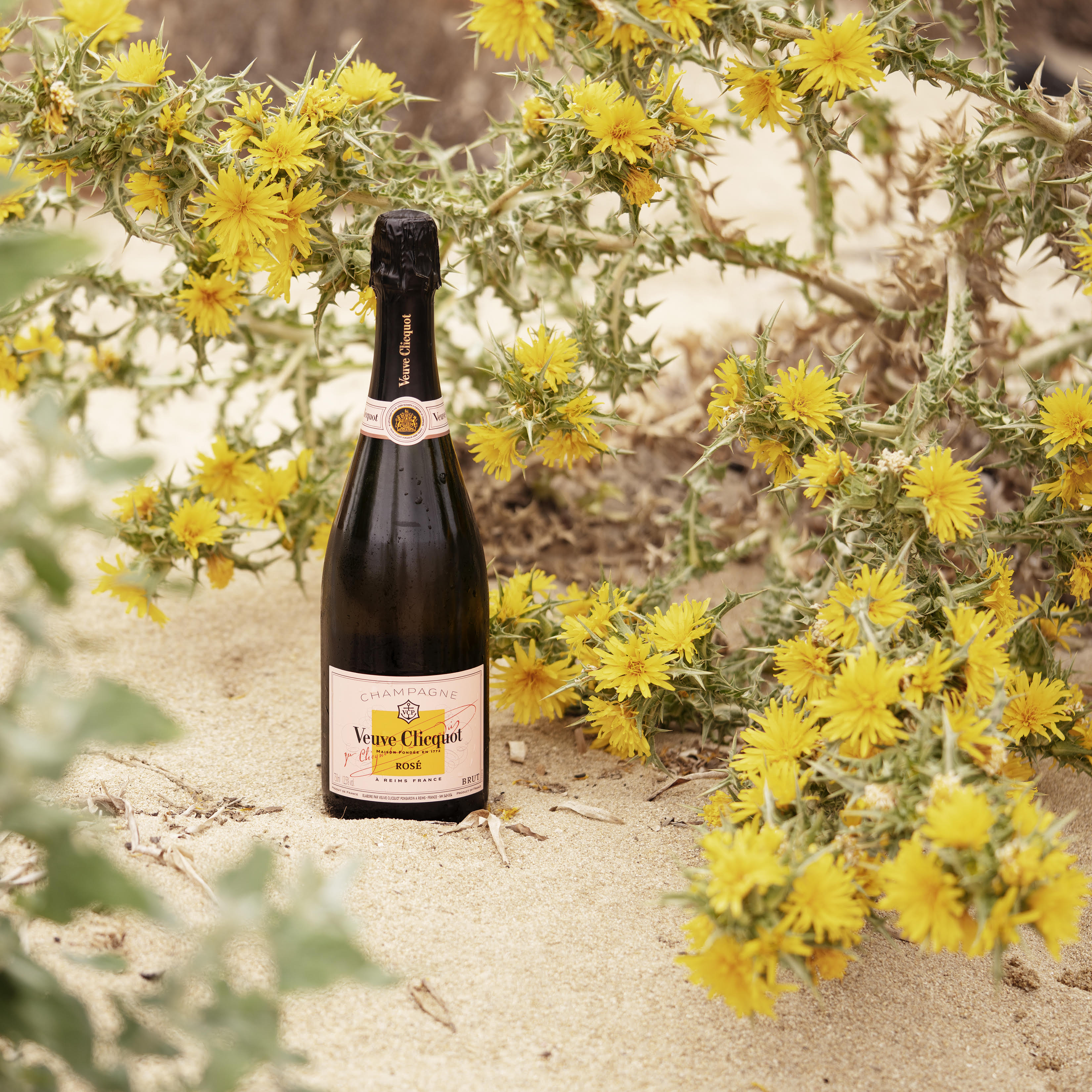 Veuve Clicquot Ponsardin Rosé 75CL Veuve Clicquot Ponsardin Rosé 75CL