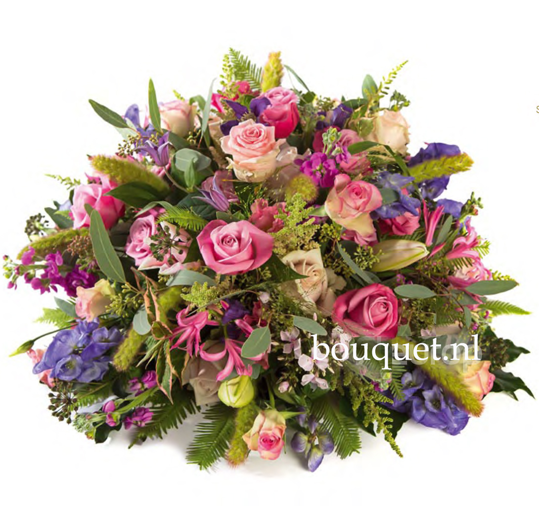 Gemenge rouwbiedermeier roze - blauw Rouwbiedermeier gemengd roze - blauw