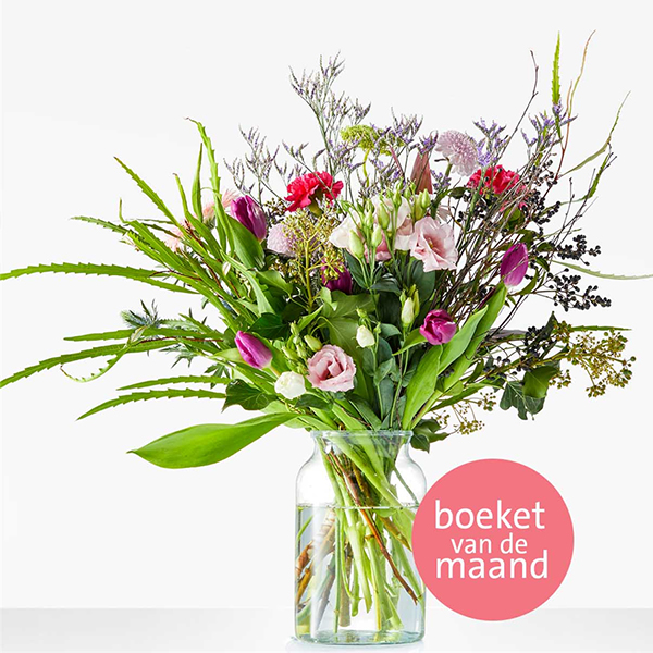 Maandboeket Januari