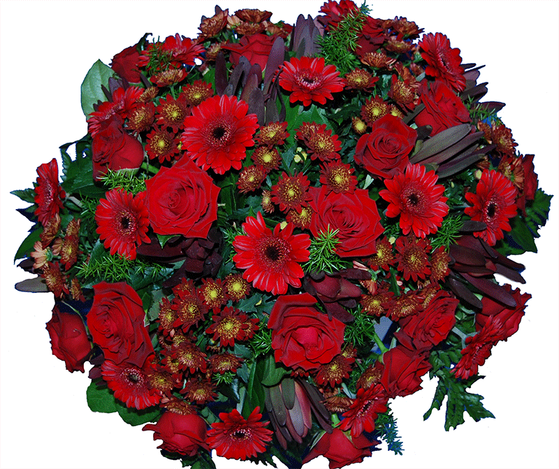 Rouwbiedermeier rood gemengd