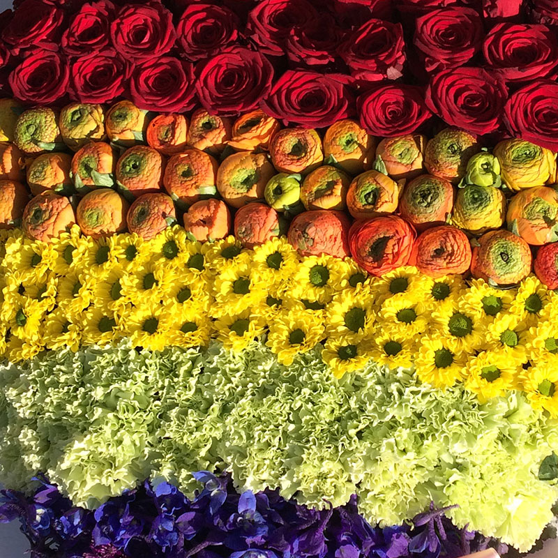 Rouwhart Regenboog