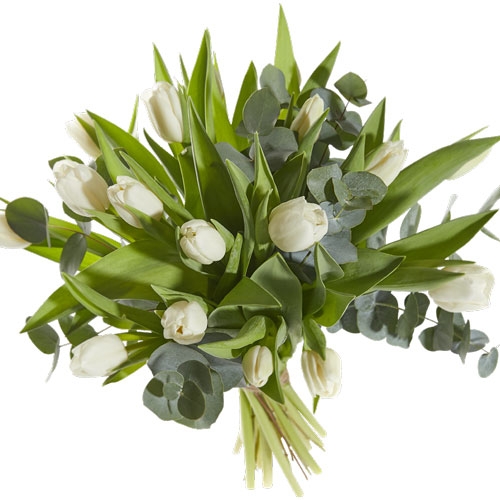 Wit Tulpenboeket