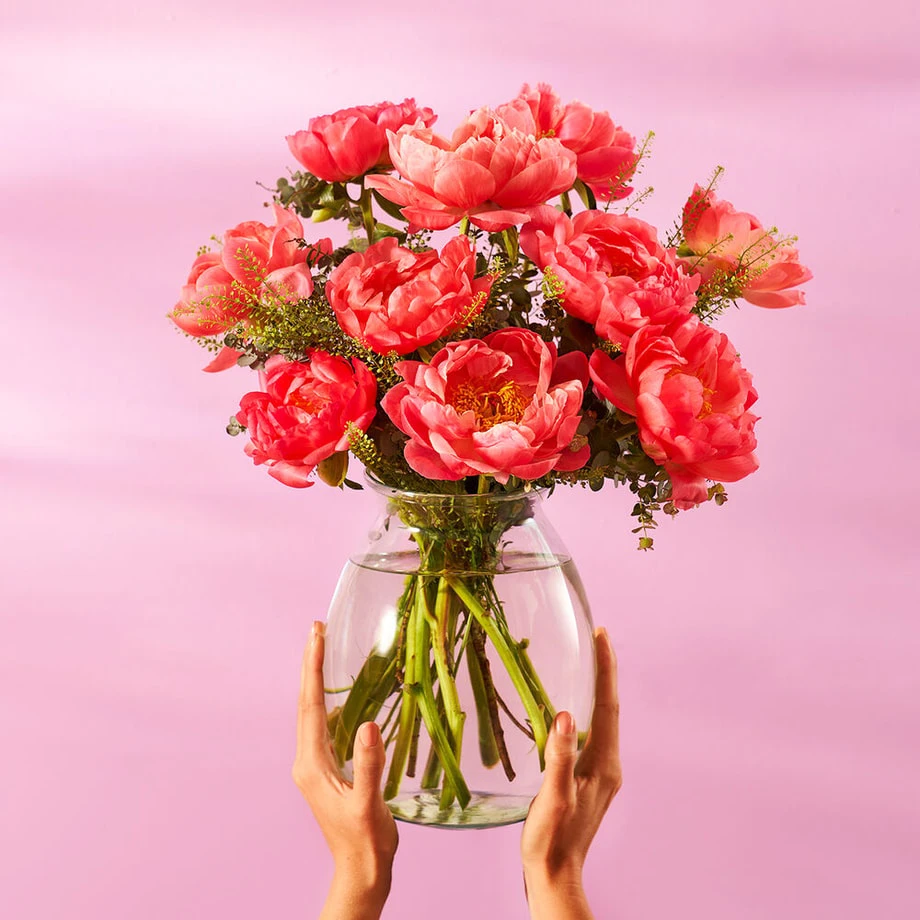 Handen houden een glazen vaas met een boeket roze pioenrozen tegen een zachte roze achtergrond