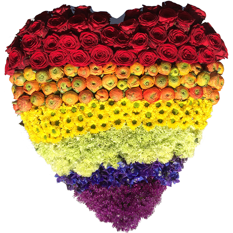 Rouwhart Regenboog