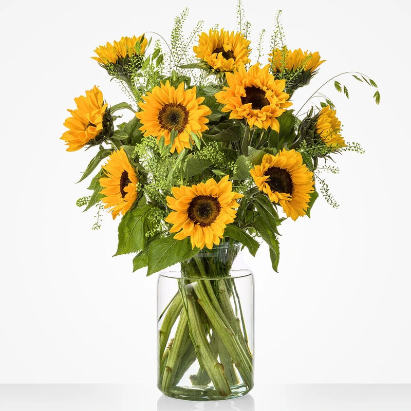 Zomers Boeket Zonnebloemen met stralende zonnebloemen en fris groen blad